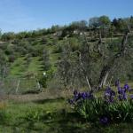 Toscana 2008 - Bindozzino
